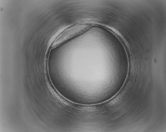 X0000056031333200509021812