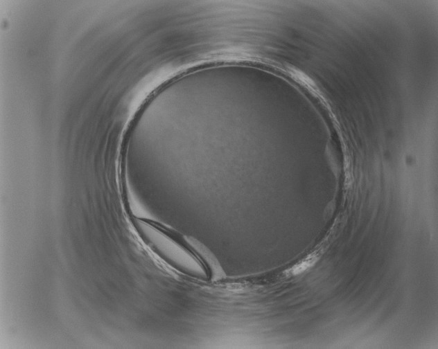 X0000056031334200509021812