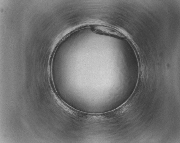 X0000056031335200509021812