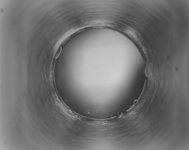 X0000056031336200509021812