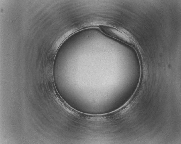 X0000056031337200509021812