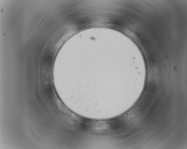 X0000056031338200509021812