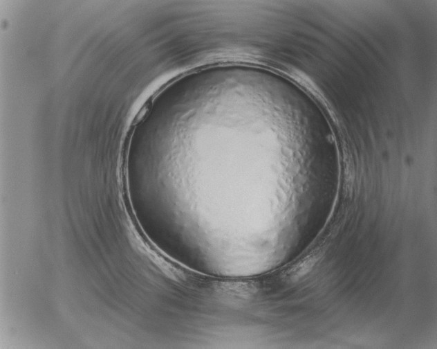 X0000056031339200509021812