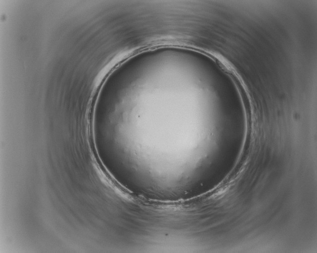 X0000056031341200509021812