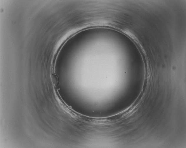 X0000056031342200509021812