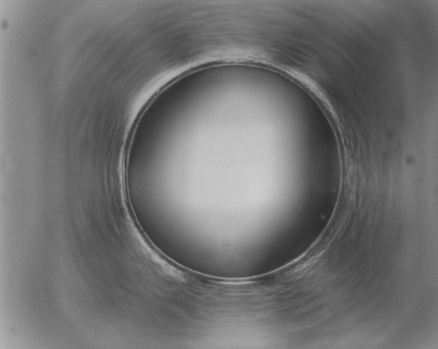 X0000056031343200509021812