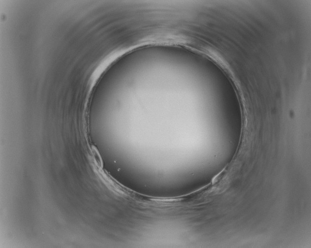 X0000056031344200509021812