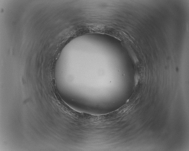 X0000056031345200509021811