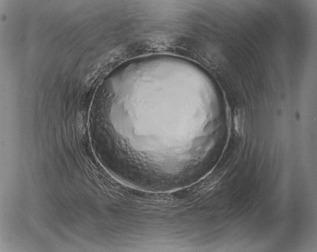 X0000056031347200509021811