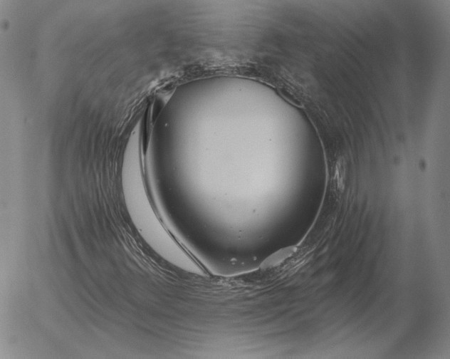 X0000056031348200509021811