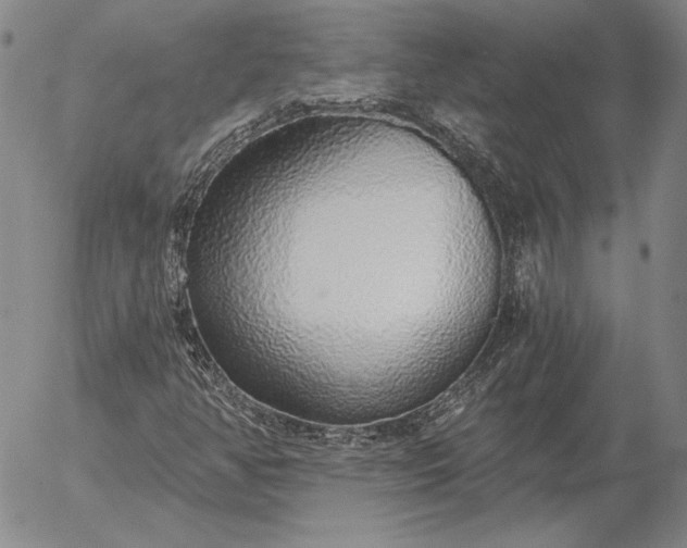 X0000056031350200509021811