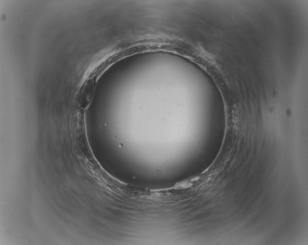 X0000056031352200509021811