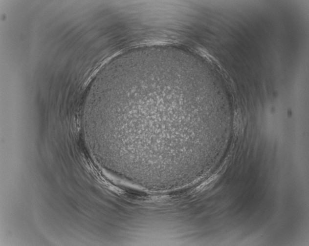 X0000056031353200509021811