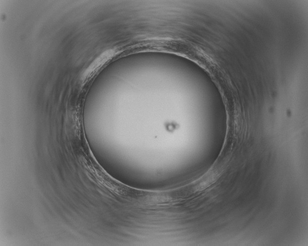 X0000056031354200509021811