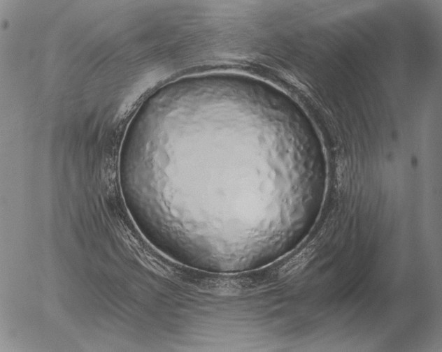 X0000056031355200509021811