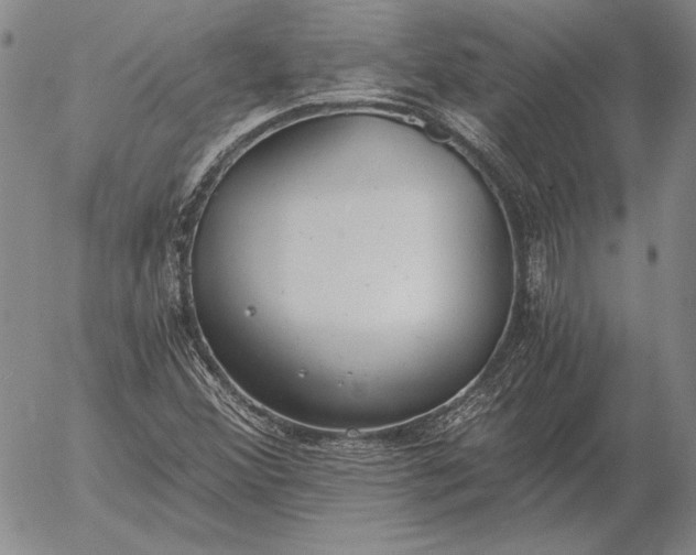 X0000056031356200509021811