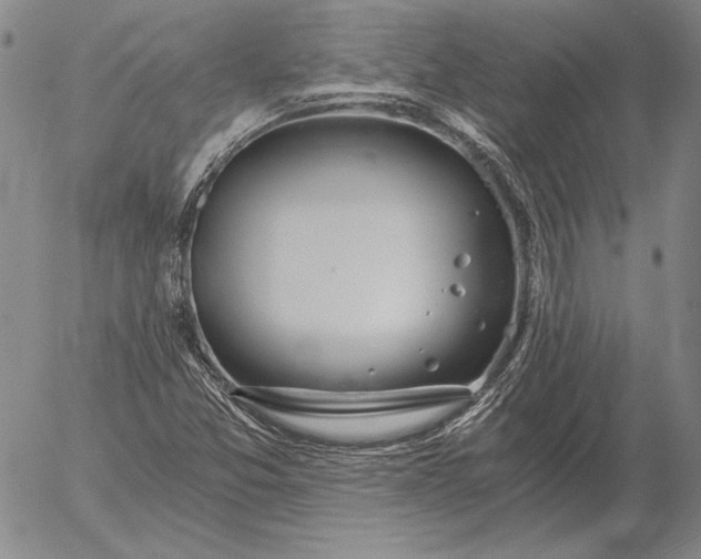 X0000056031357200509021811