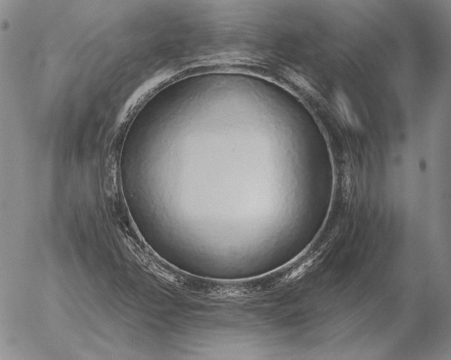 X0000056031358200509021811