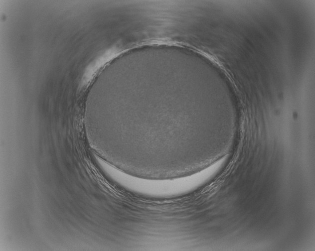 X0000056031359200509021811