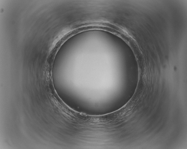 X0000056031360200509021811