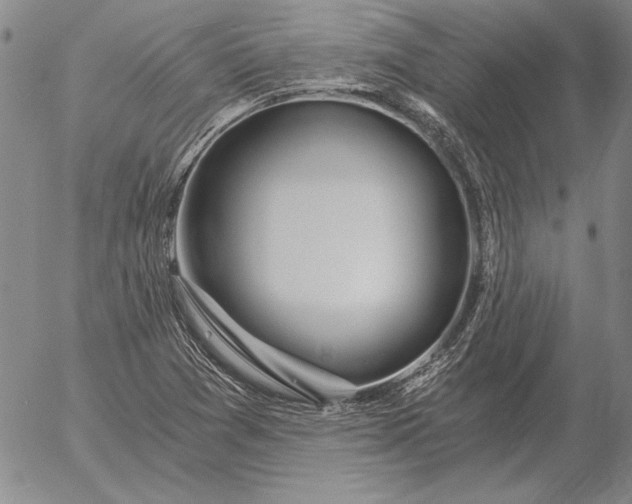 X0000056031361200509021811