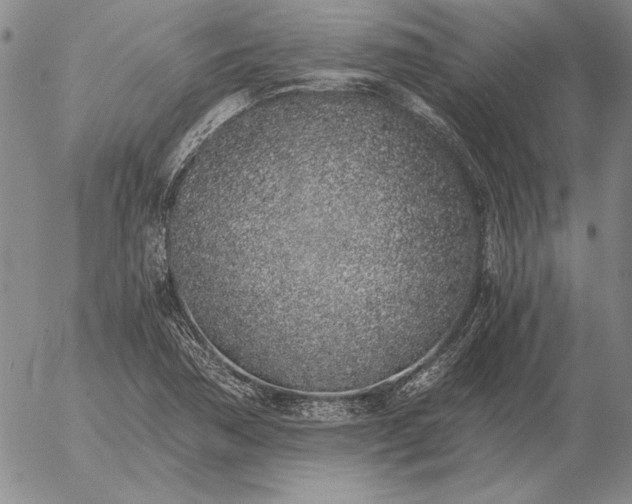 X0000056031362200509021811