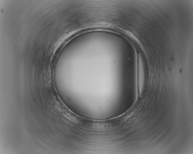 X0000056031364200509021811