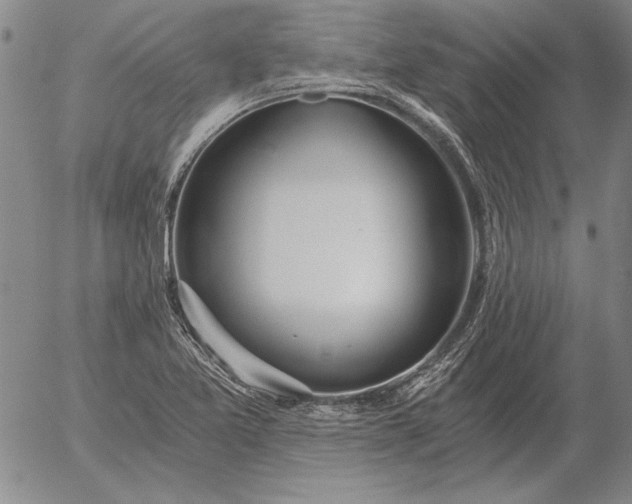 X0000056031365200509021811