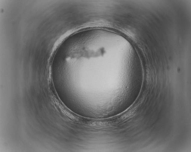 X0000056031366200509021811