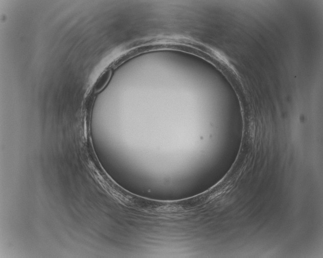 X0000056031368200509021811