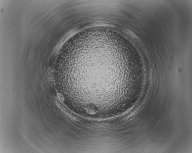 X0000056031369200509021811