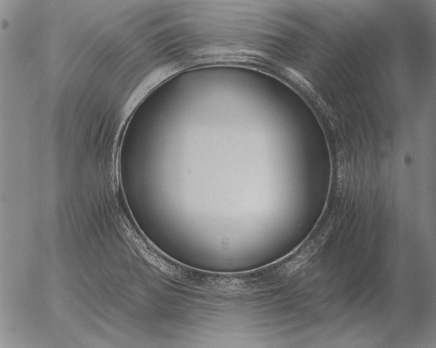 X0000056031370200509021811