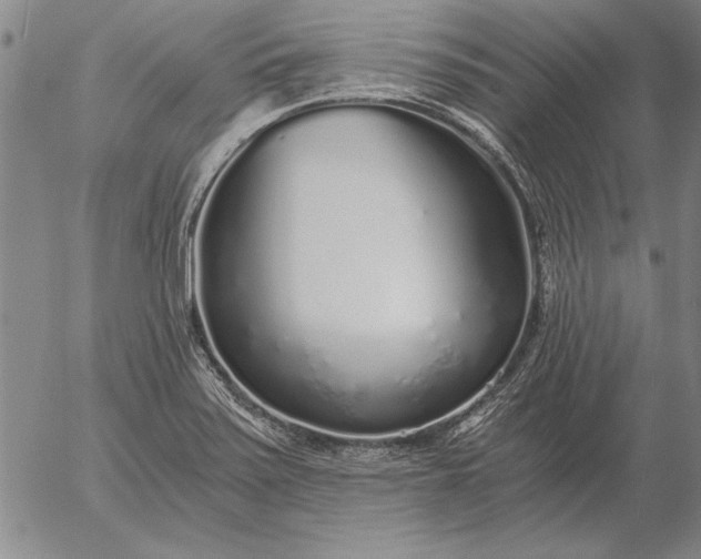 X0000056031371200509021811