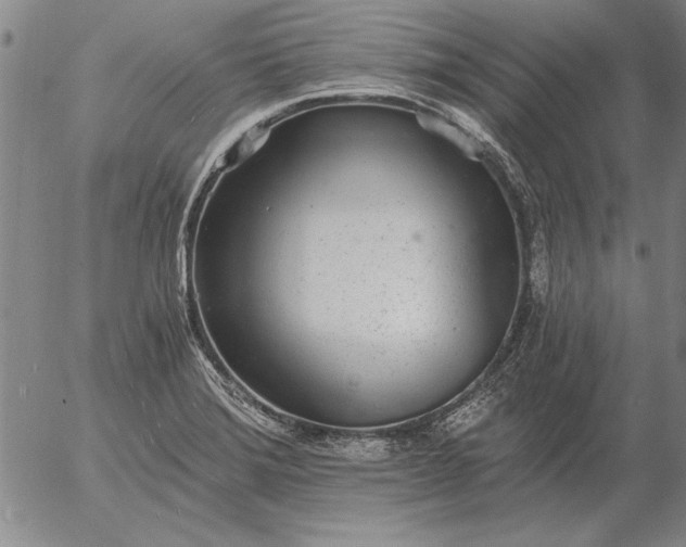 X0000056031372200509021811