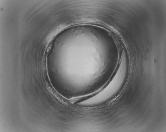 X0000056031373200509021811