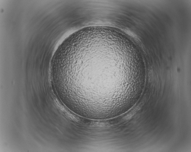 X0000056031374200509021811