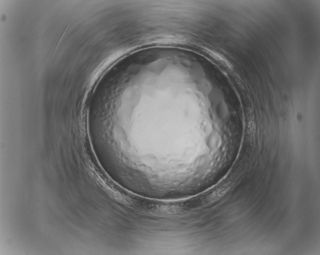 X0000056031375200509021810