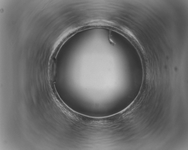 X0000056031376200509021810