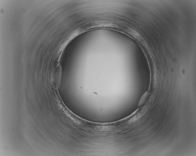 X0000056031377200509021810