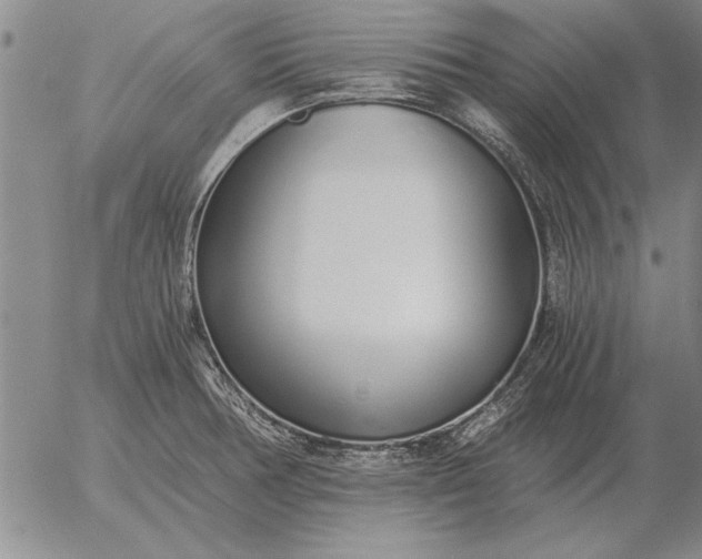 X0000056031378200509021810