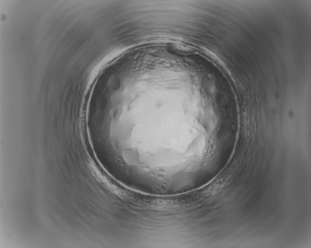 X0000056031379200509021810