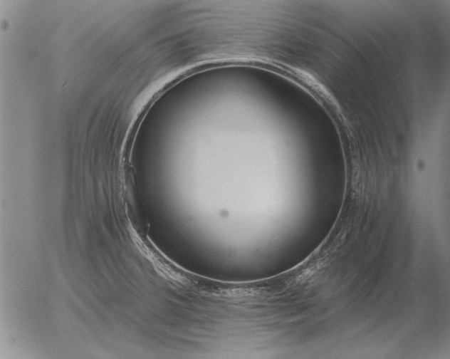 X0000056031380200509021810