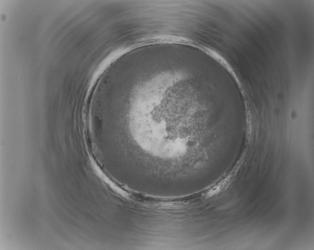 X0000056031381200509021810