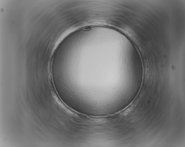 X0000056031382200509021810