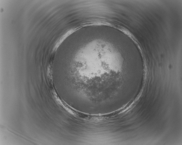 X0000056031385200509021810