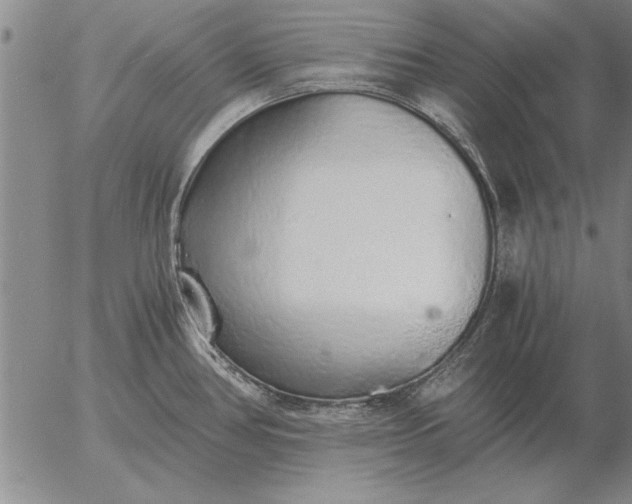 X0000056031386200509021810