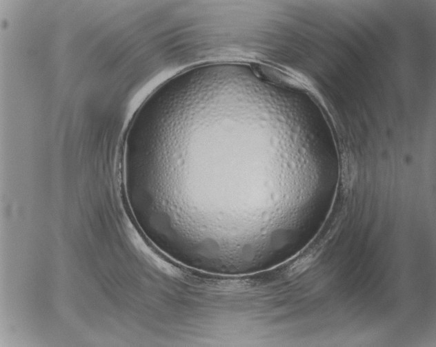 X0000056031387200509021810