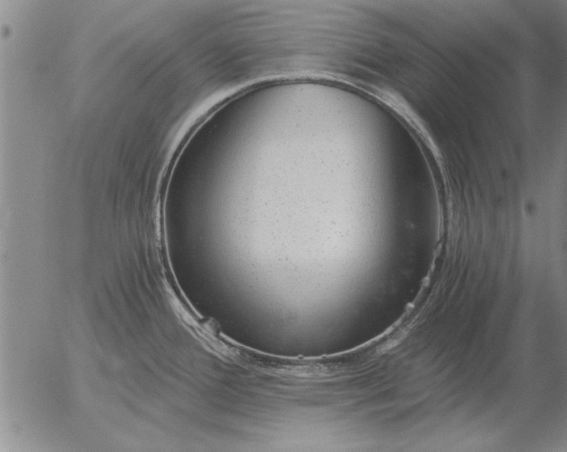 X0000056031388200509021810