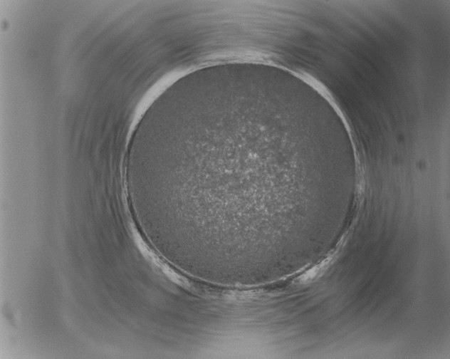 X0000056031389200509021810