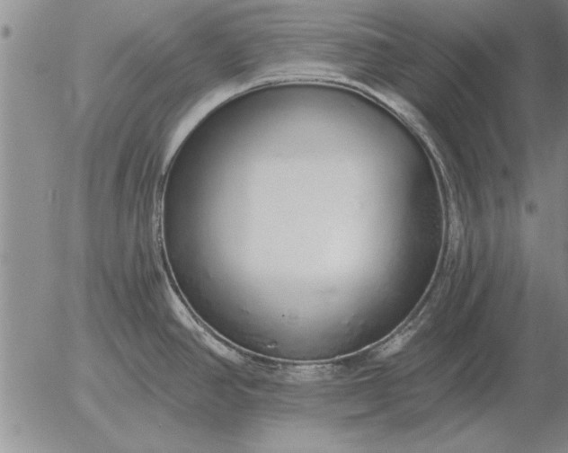 X0000056031390200509021810